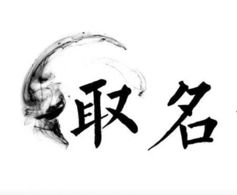  资源宝宝取名 大师一对一人工起名